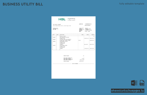 Beispiel einer Geschäftsrechnung der HBL in Pakistan (Vorschau)